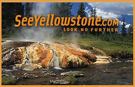 See Yellowstone Montana